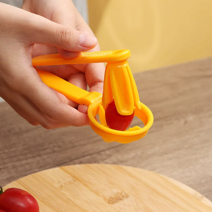 TomatoFlash Pro Slicer